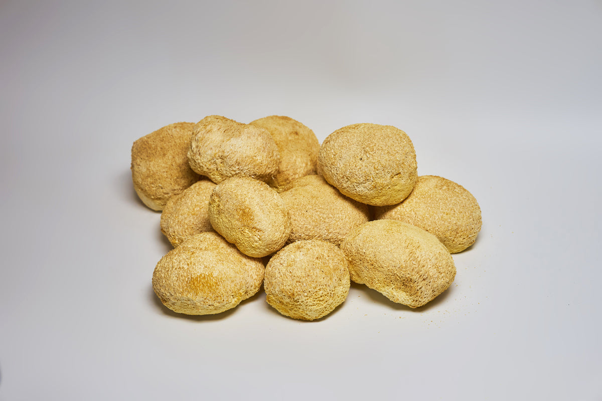 Ежовик