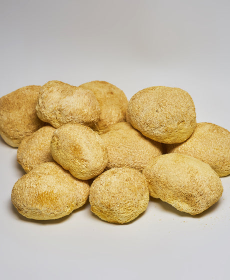 Ежовик